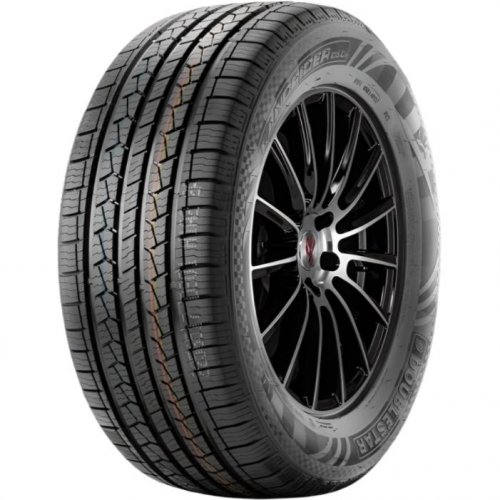 DoubleStar DS01 225/65 R17 102T