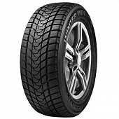 Delinte Winter WD1 175/70 R14 88T