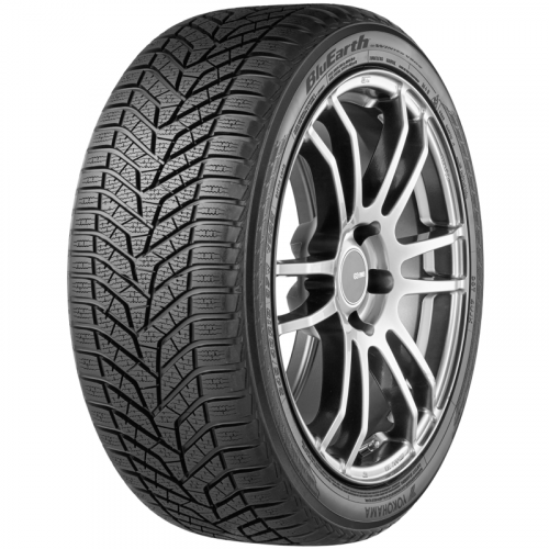 Yokohama BluEarth Winter V905 225/55 R19 99V