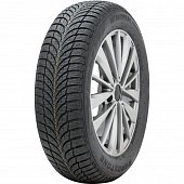 Roadstone Winguard Snow G WH2 205/65 R15 99T