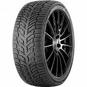 DoubleStar DW08 205/55 R16 91T