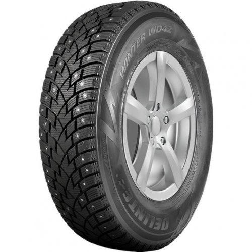 Delinte Winter WD42 205/65 R16 107/105R