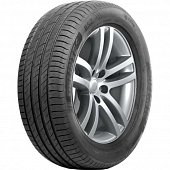 Delinte DS2 165/65 R14 79T