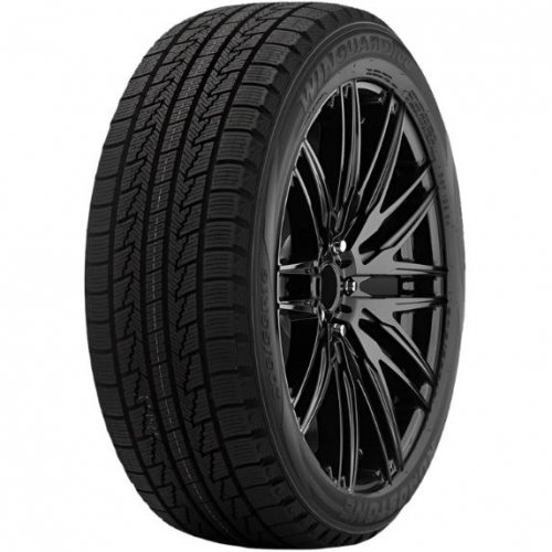 Roadstone Winguard Ice 205/60 R16 92Q