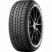 Evergreen EW62 205/65 R16 95H